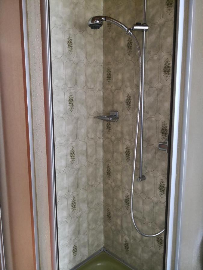 Haus Seiler Διαμέρισμα Goms Εξωτερικό φωτογραφία